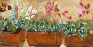 POTTED CYCLAMEN
