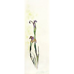 IRISES-3
